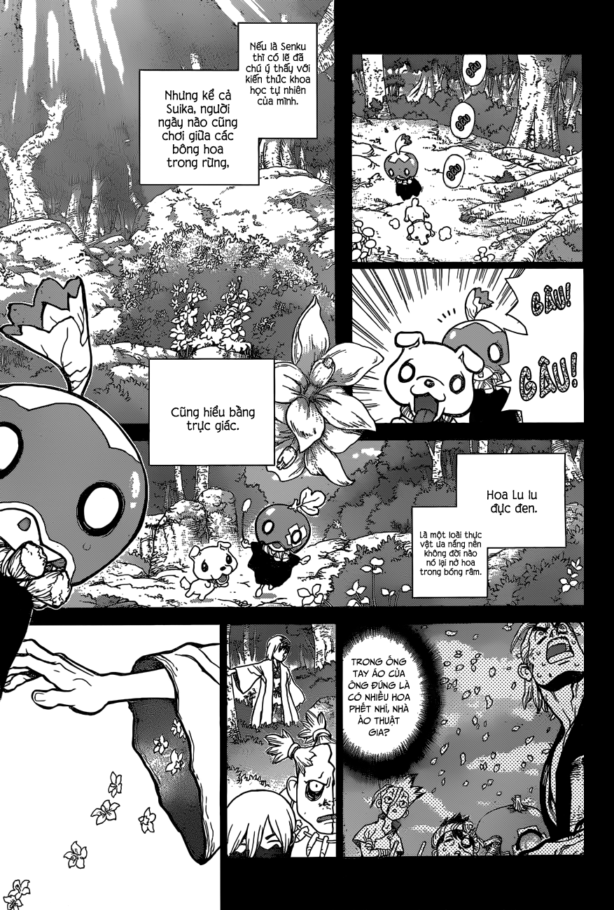 Dr.stone Chapter 48 - 16