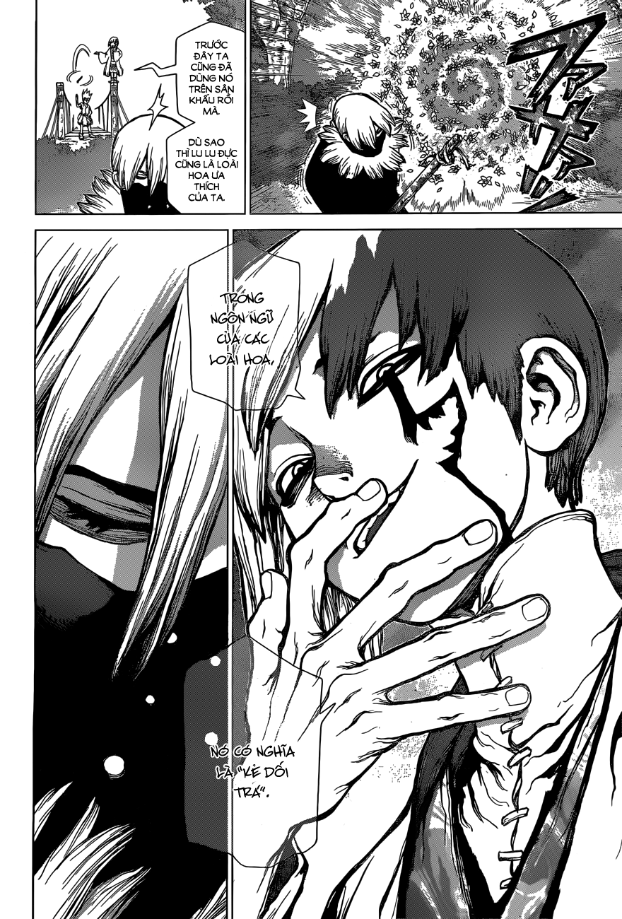 Dr.stone Chapter 48 - 19