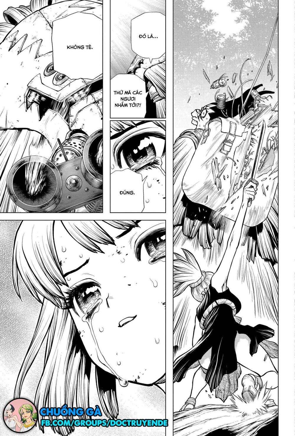 Dr.stone Chapter 188 - 13