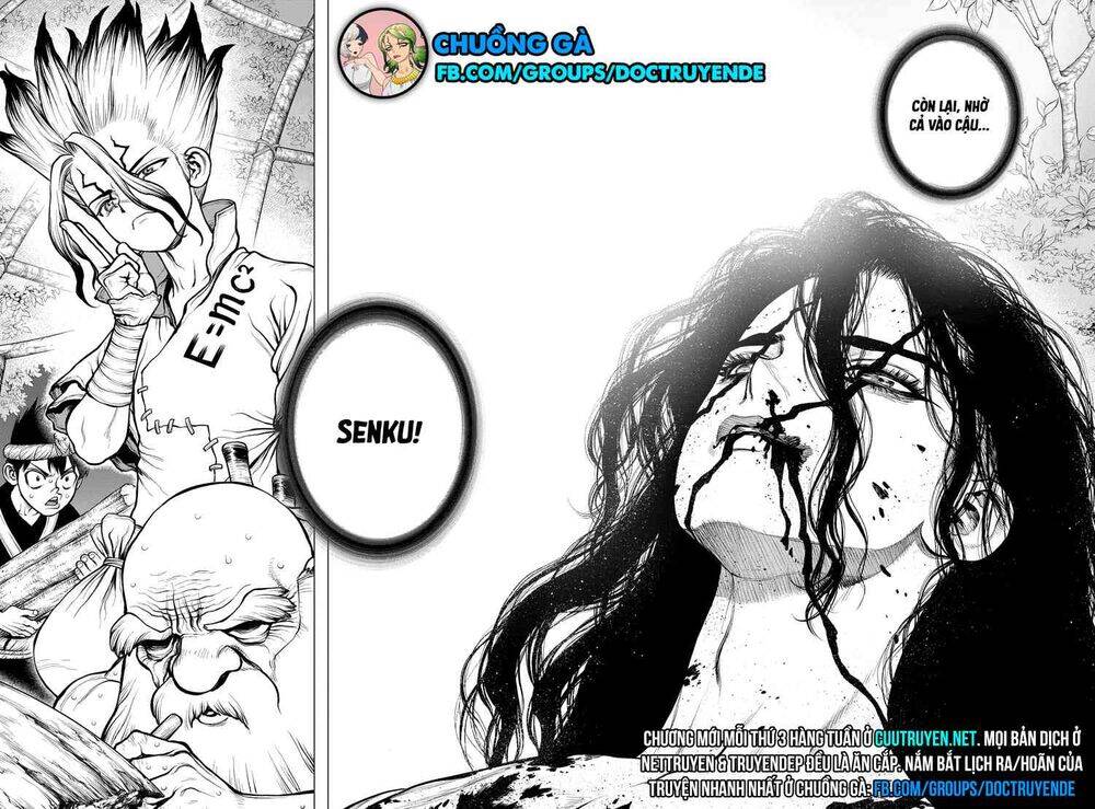 Dr.stone Chapter 188 - 17