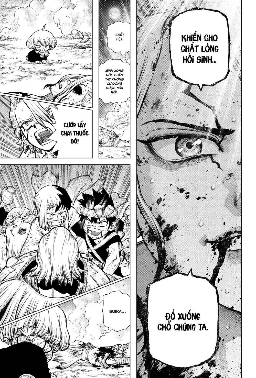 Dr.stone Chapter 192 - 15