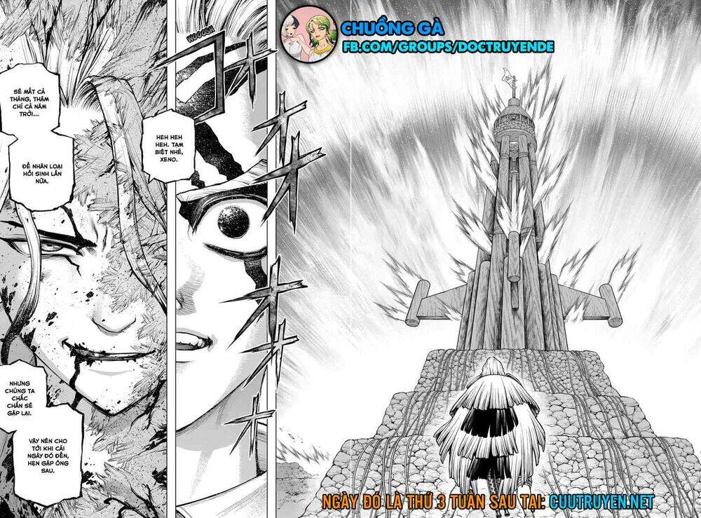 Dr.stone Chapter 192 - 17