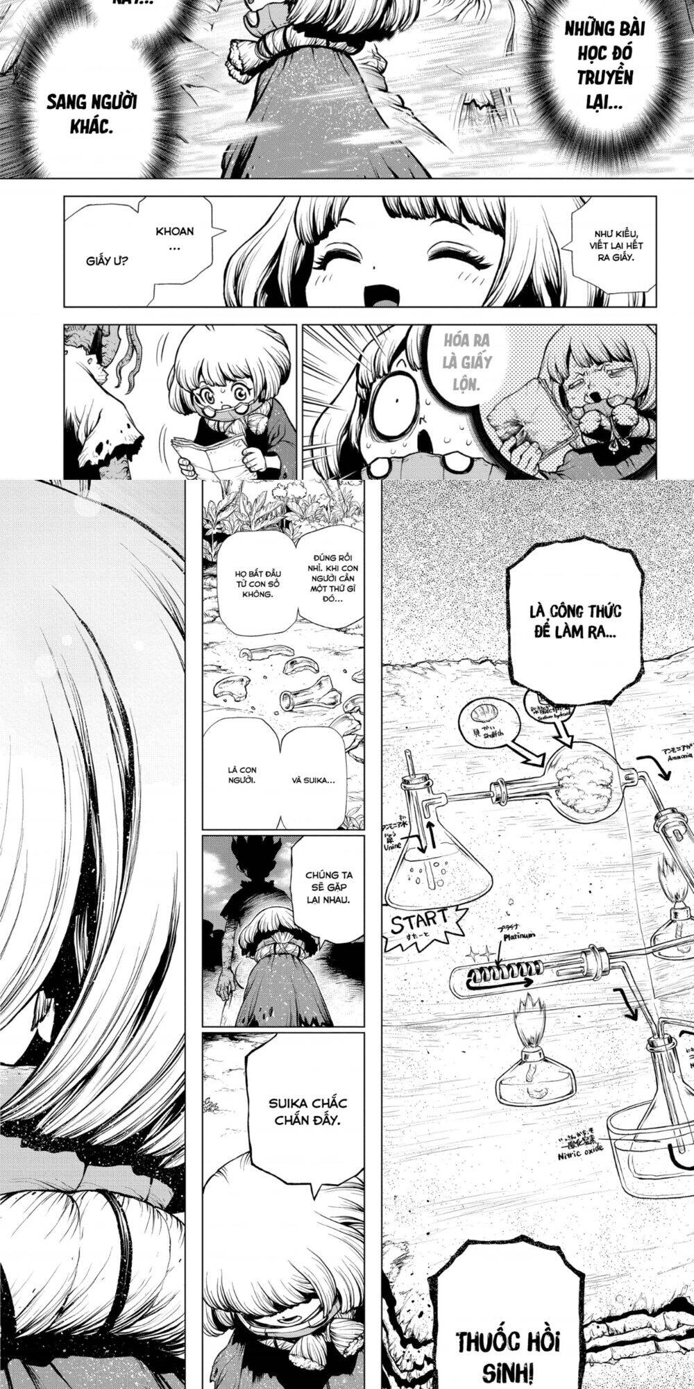 Dr.stone Chapter 195 - 11