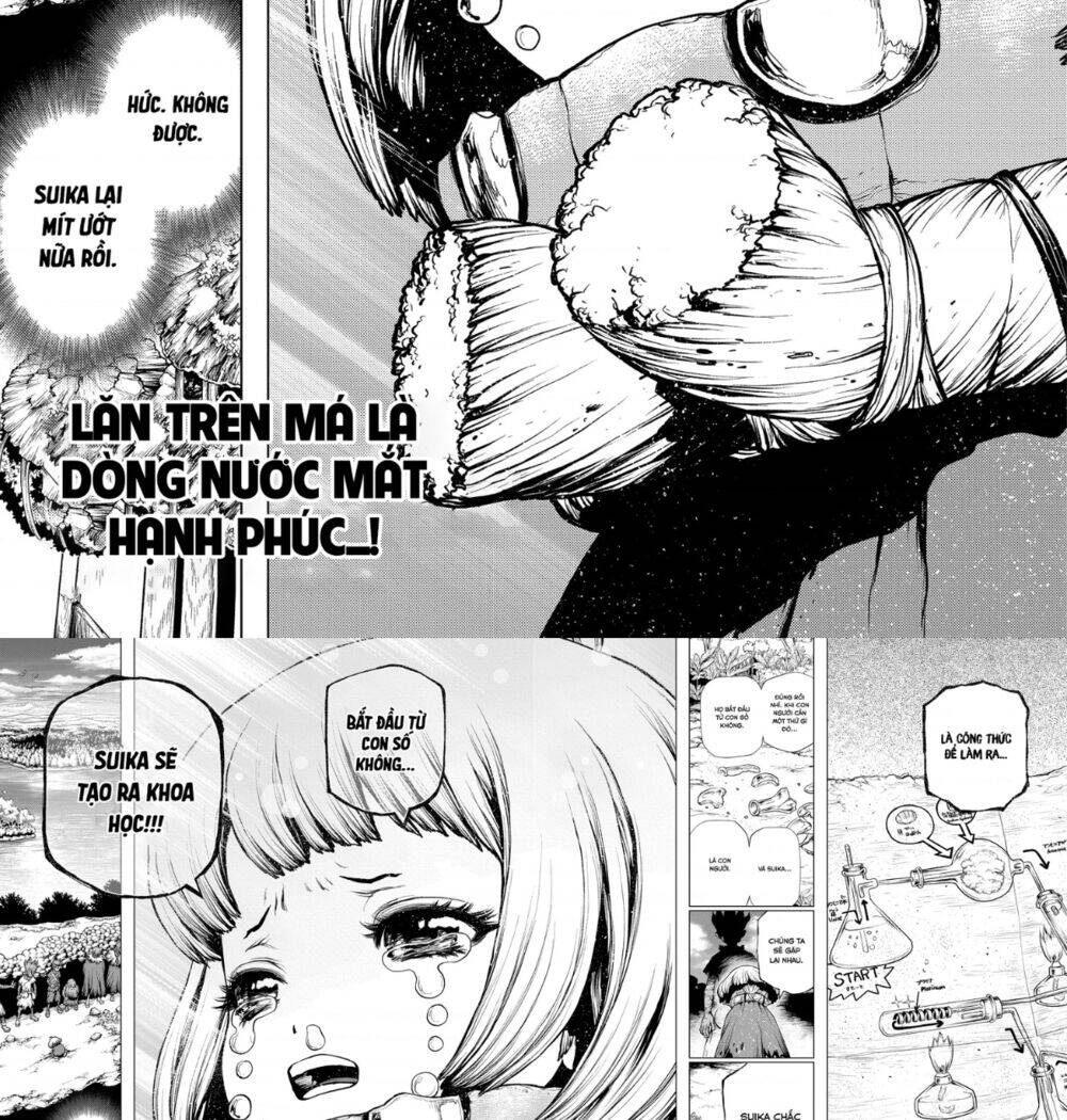 Dr.stone Chapter 195 - 13