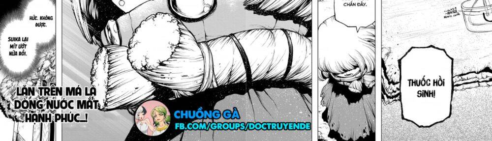 Dr.stone Chapter 195 - 14