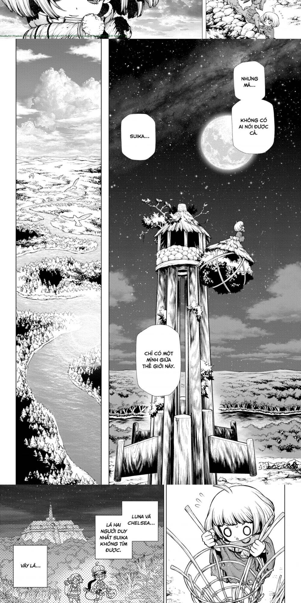Dr.stone Chapter 195 - 5
