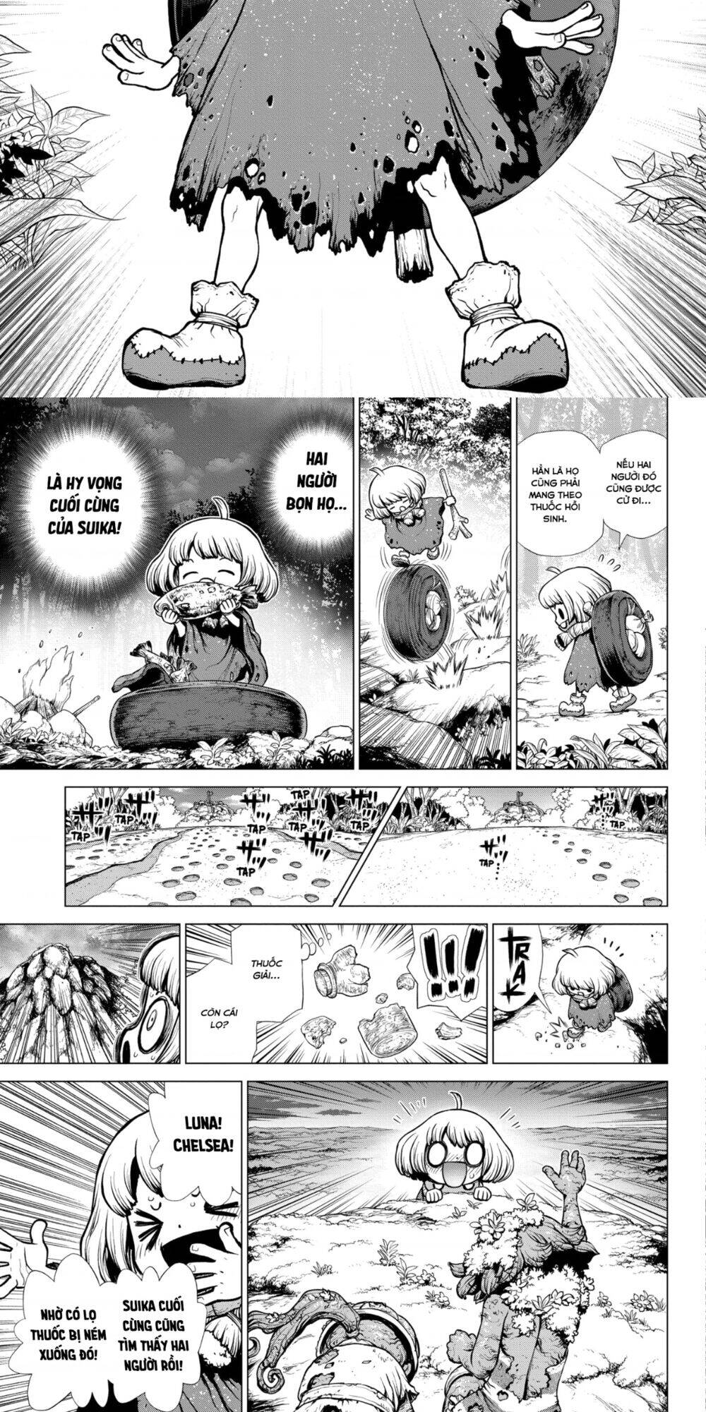 Dr.stone Chapter 195 - 7