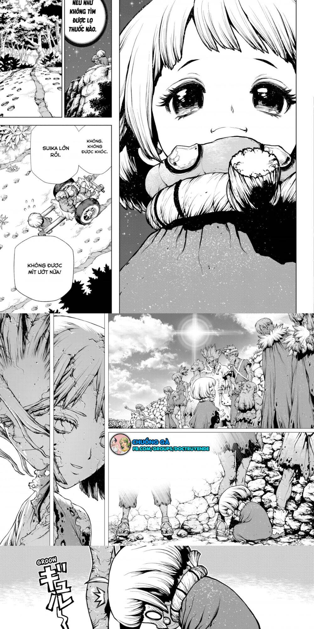 Dr.stone Chapter 195 - 9