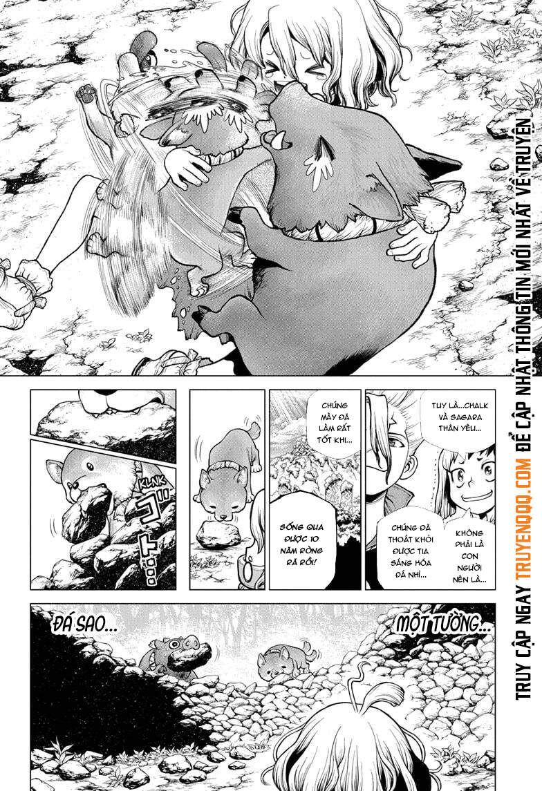 Dr.stone Chapter 212 - 13