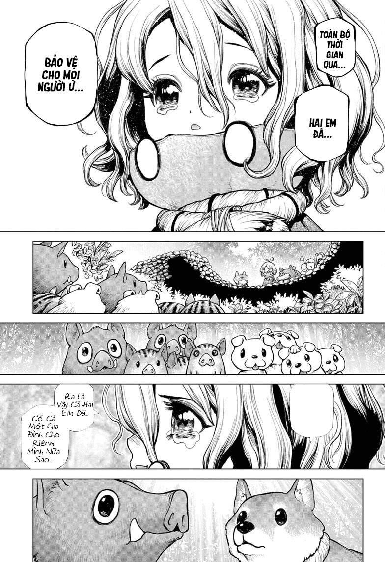 Dr.stone Chapter 212 - 14