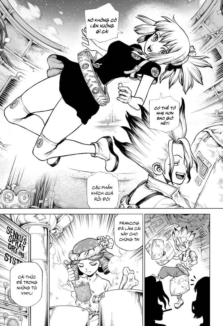 Dr.stone Chapter 224 - 14