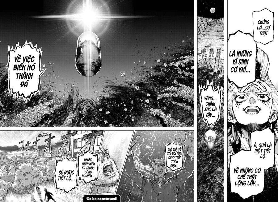 Dr.stone Chapter 228 - 17