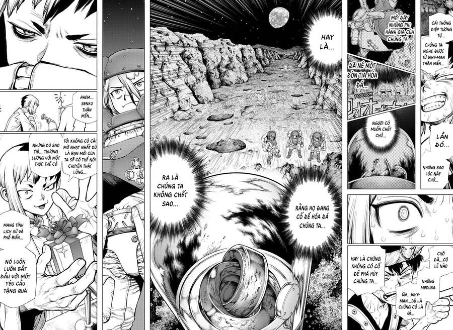 Dr.stone Chapter 228 - 10