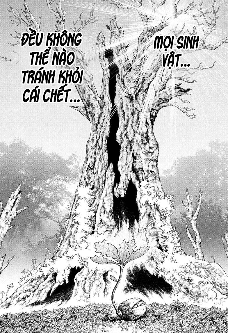 Dr.stone Chapter 230 - 2
