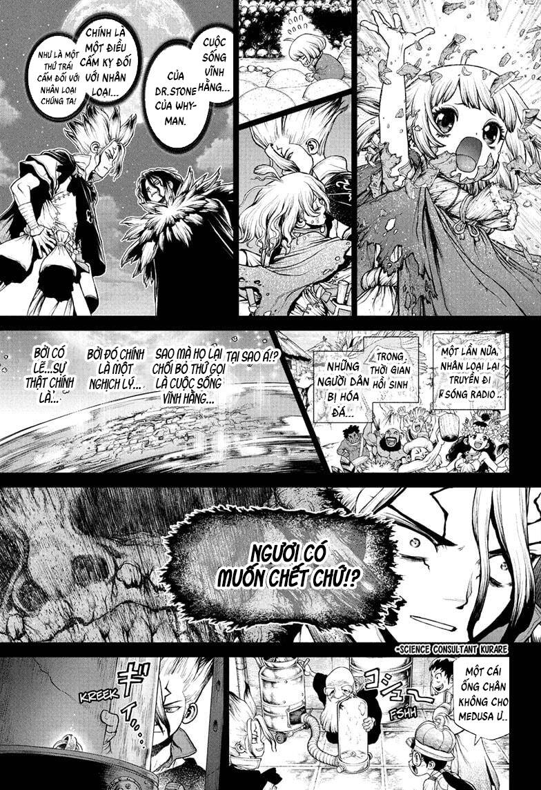Dr.stone Chapter 230 - 8