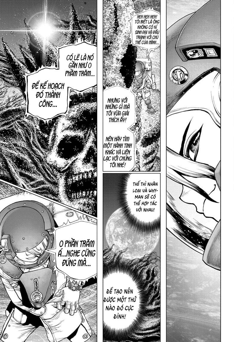 Dr.stone Chapter 231 - 10