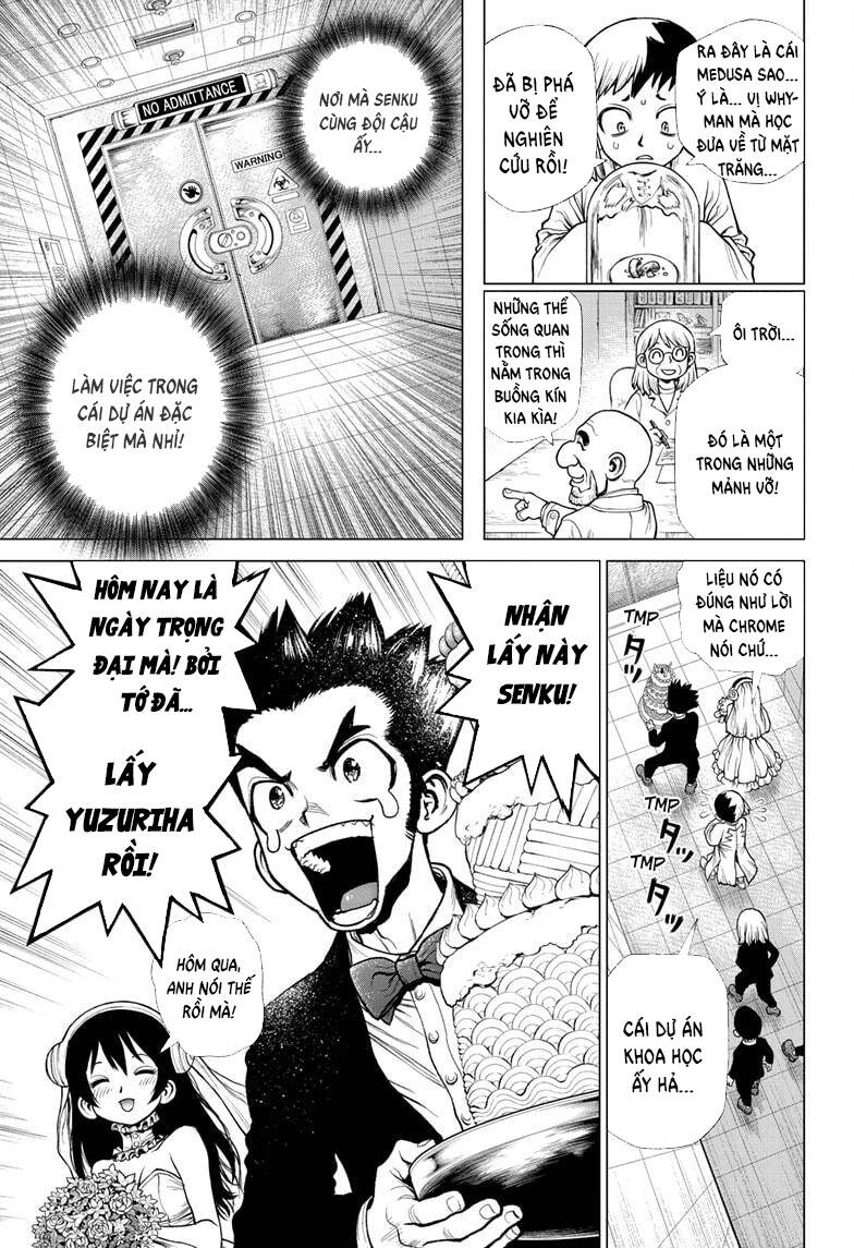 Dr.stone Chapter 232 - 14