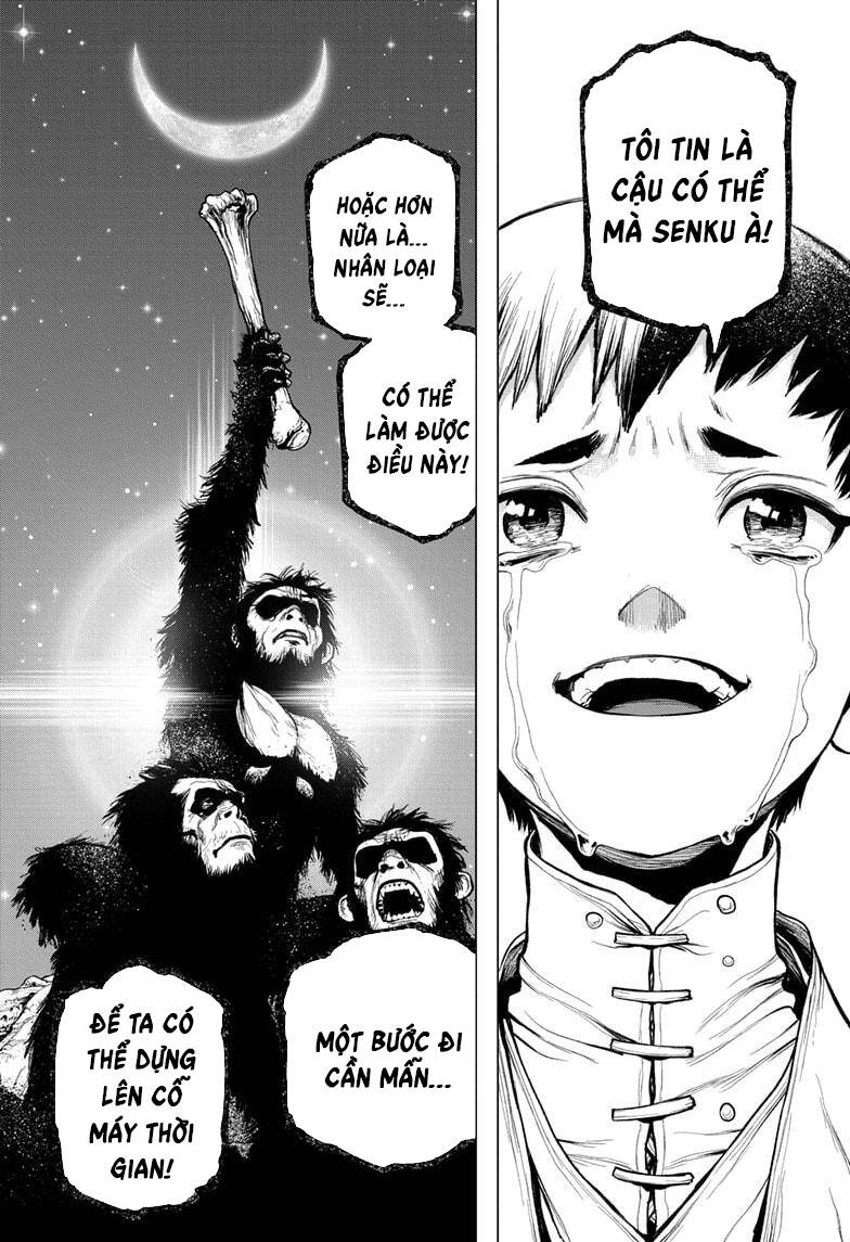 Dr.stone Chapter 232 - 20