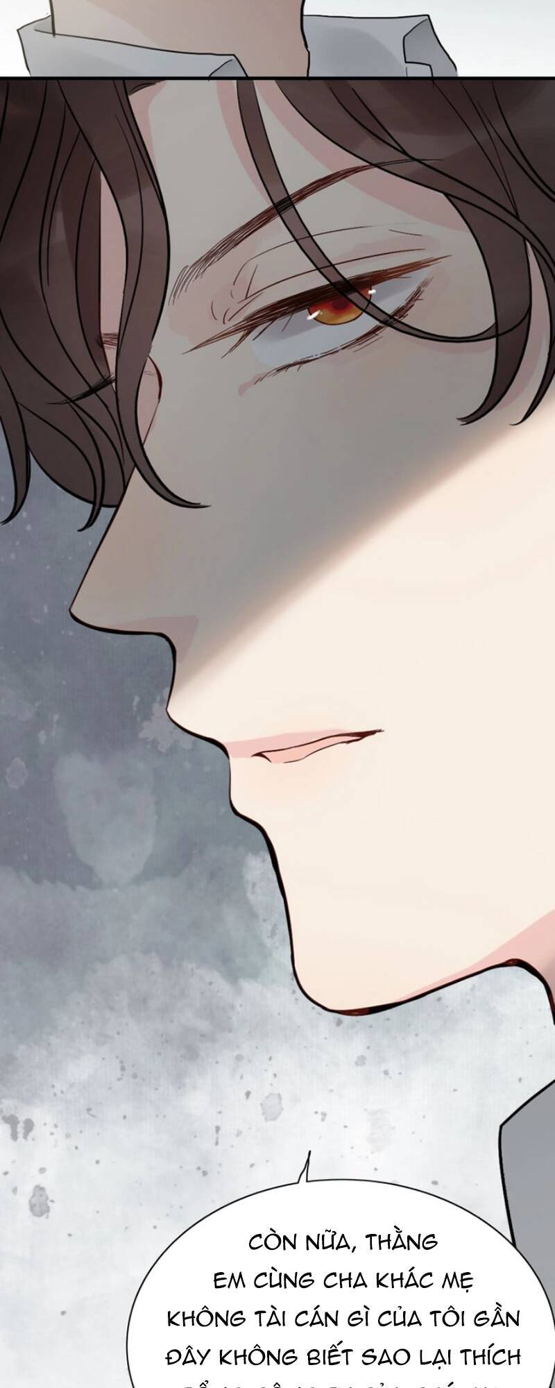 Cô Vợ Hợp Đồng Bỏ Trốn Của Tổng Giám Đốc Chapter 284 - 36