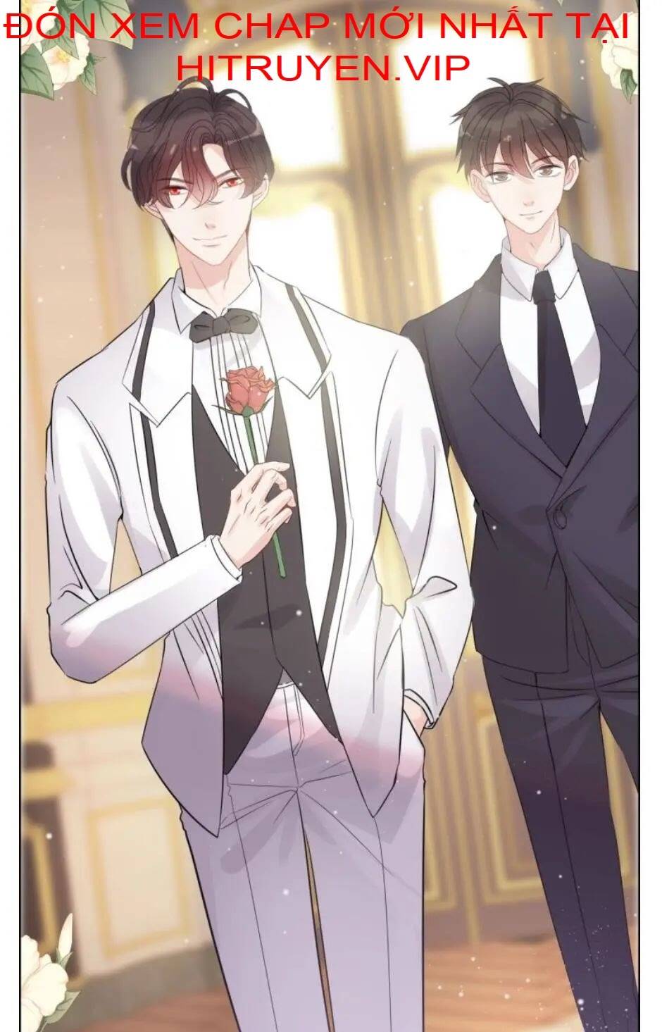 Cô Vợ Hợp Đồng Bỏ Trốn Của Tổng Giám Đốc Chapter 291 - 17