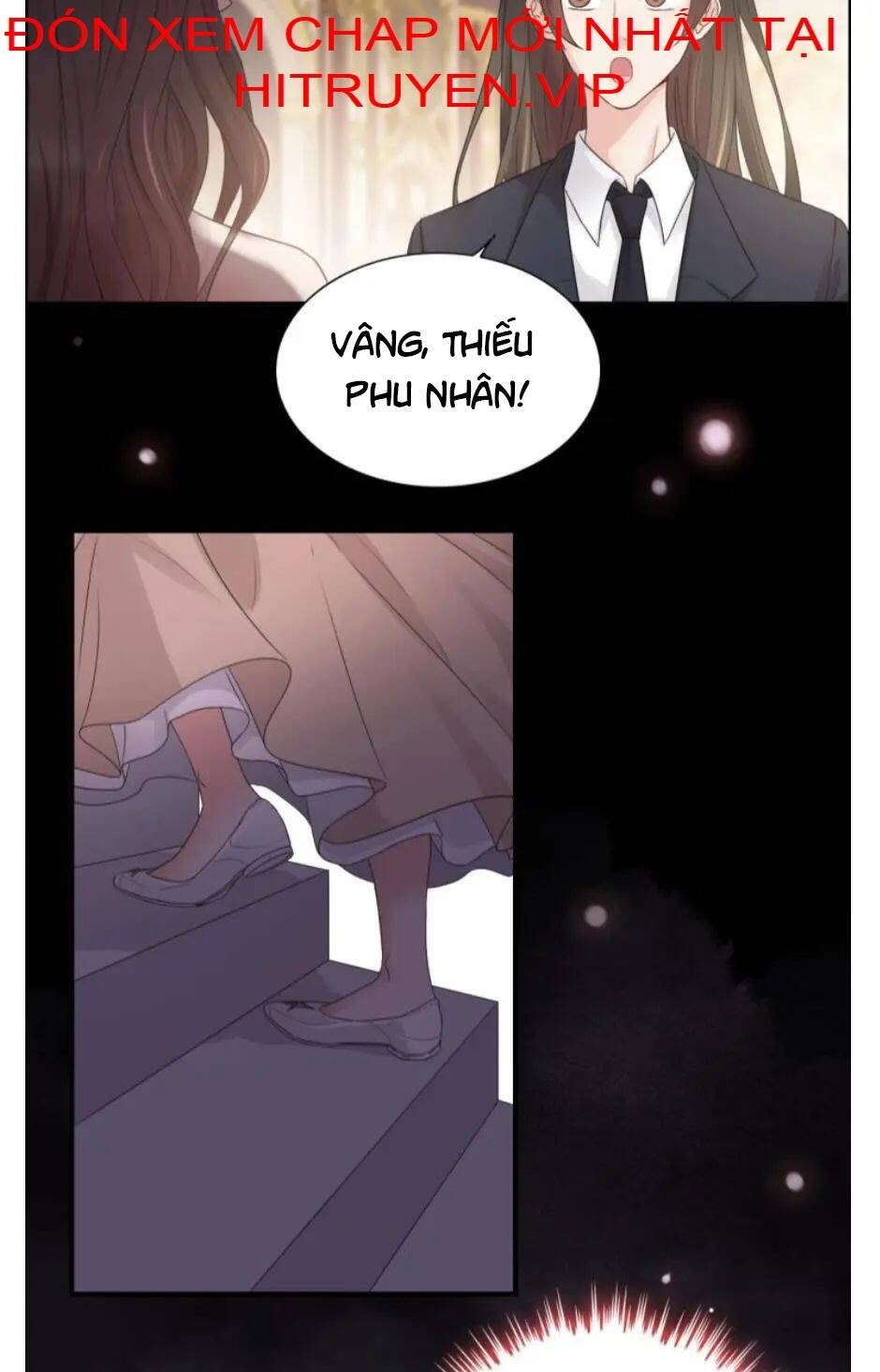 Cô Vợ Hợp Đồng Bỏ Trốn Của Tổng Giám Đốc Chapter 291 - 39