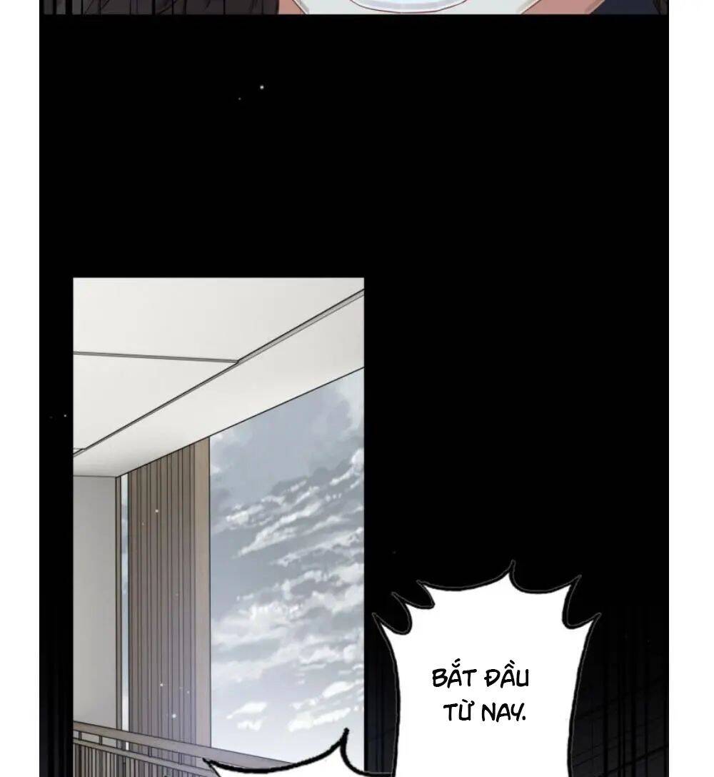 Cô Vợ Hợp Đồng Bỏ Trốn Của Tổng Giám Đốc Chapter 295 - 45