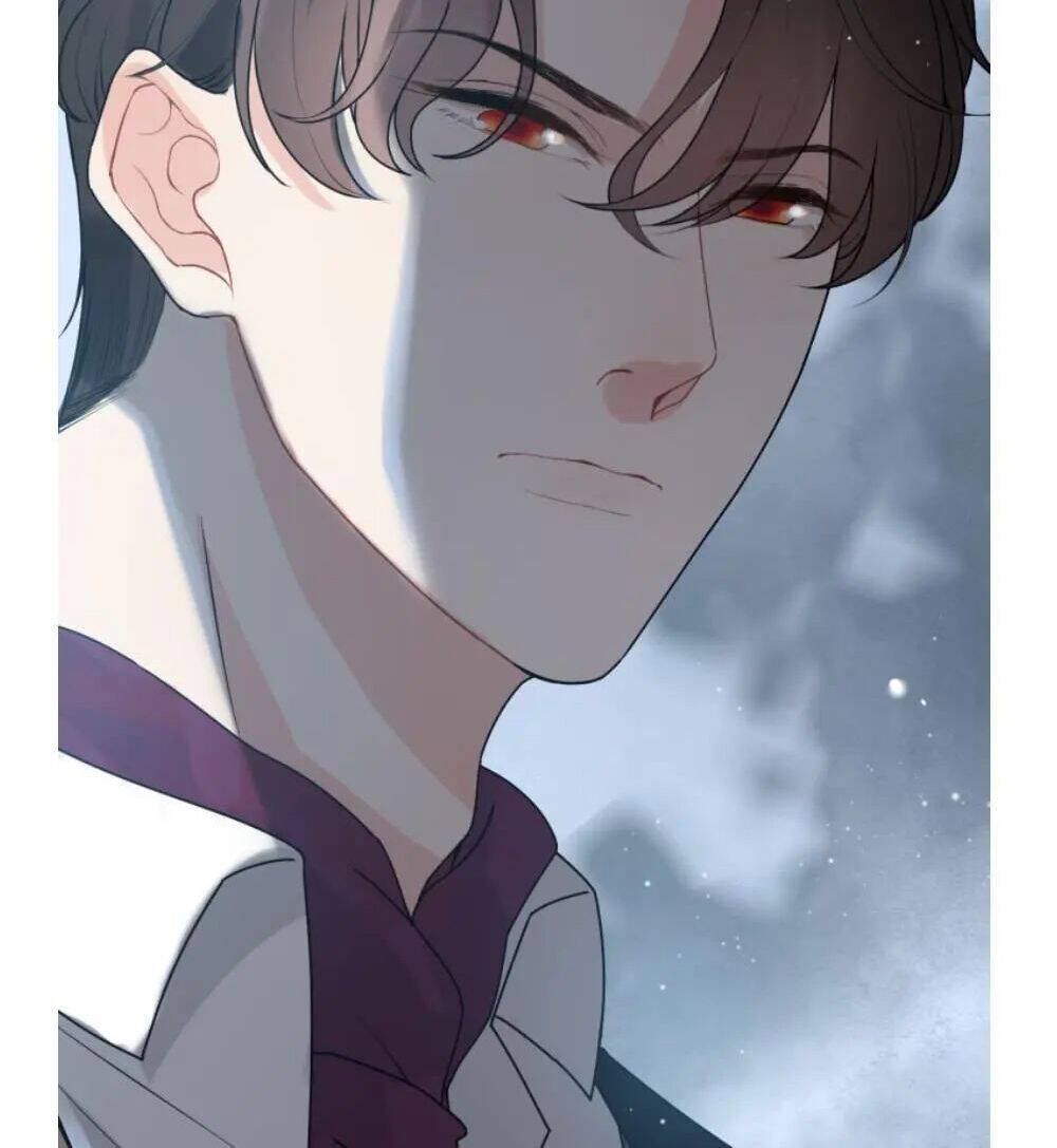 Cô Vợ Hợp Đồng Bỏ Trốn Của Tổng Giám Đốc Chapter 295 - 66