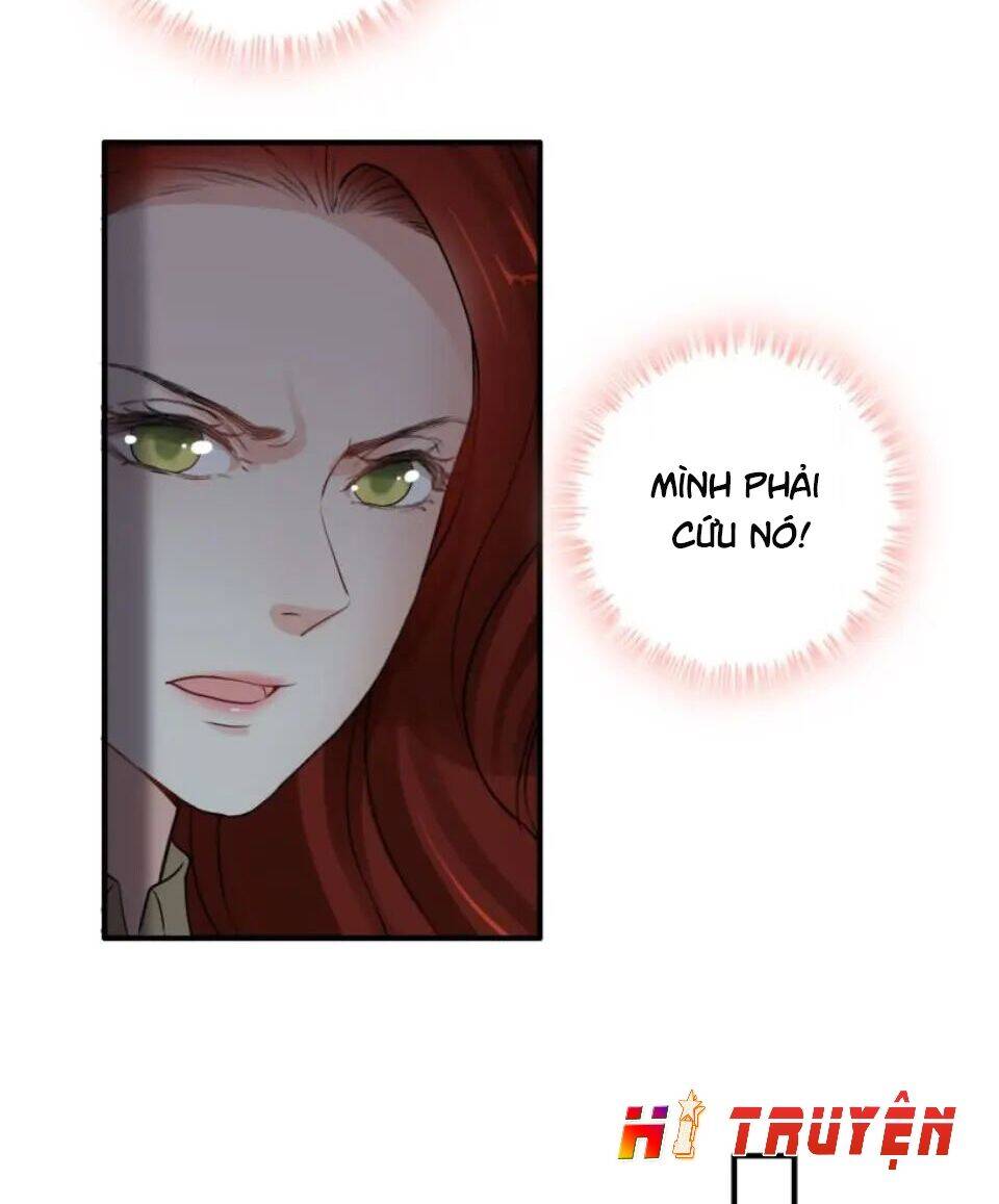 Cô Vợ Hợp Đồng Bỏ Trốn Của Tổng Giám Đốc Chapter 296 - 41