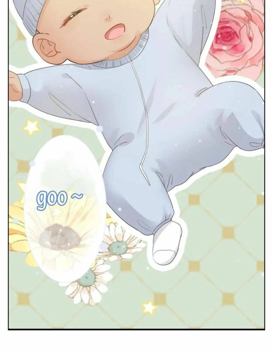 Cô Vợ Hợp Đồng Bỏ Trốn Của Tổng Giám Đốc Chapter 297 - 11