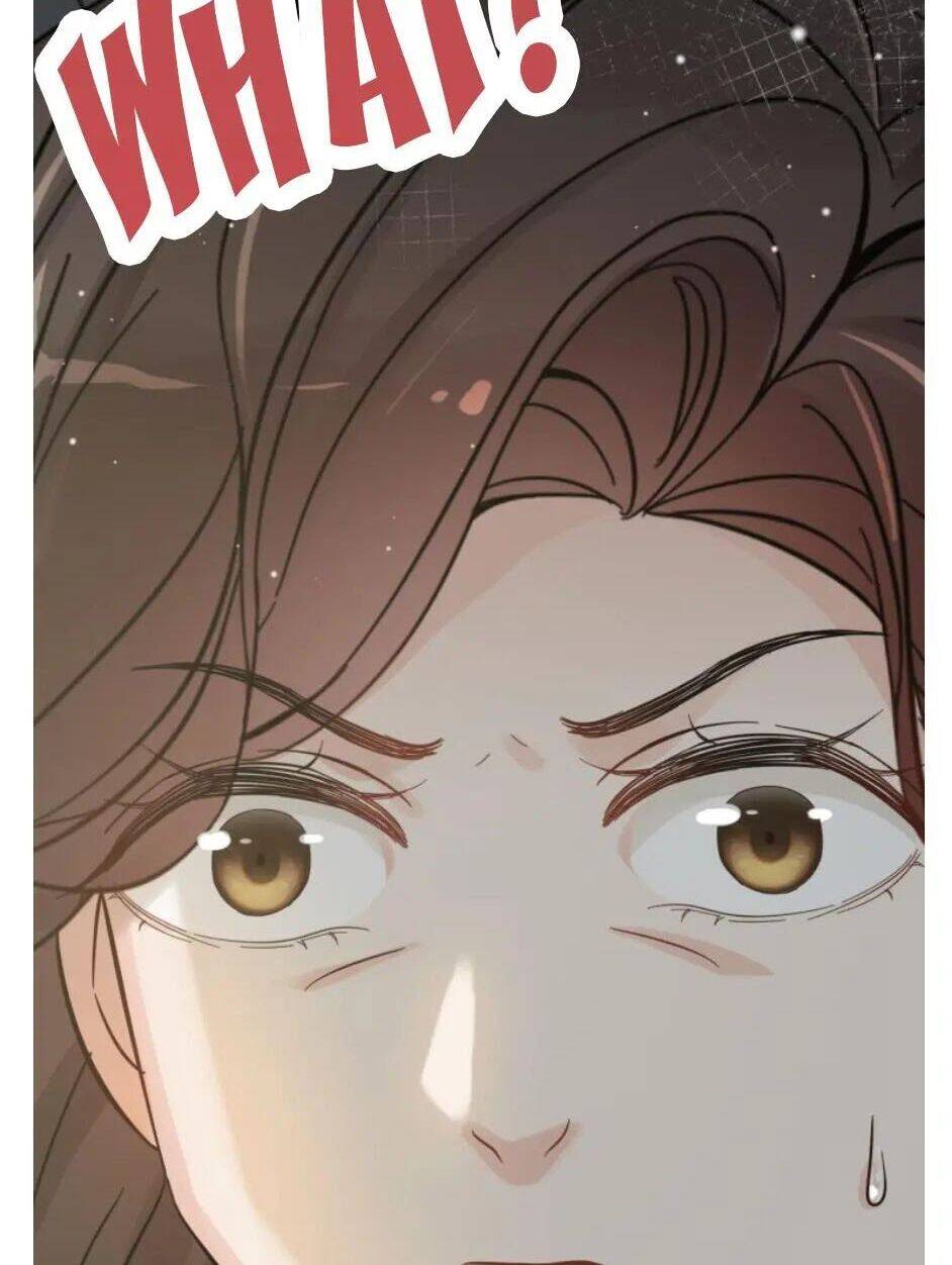 Cô Vợ Hợp Đồng Bỏ Trốn Của Tổng Giám Đốc Chapter 300 - 31