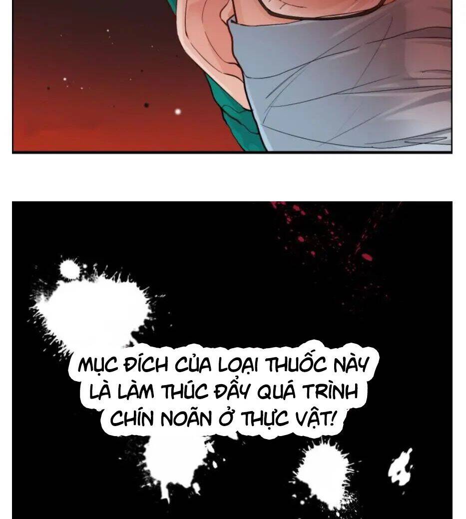 Cô Vợ Hợp Đồng Bỏ Trốn Của Tổng Giám Đốc Chapter 301 - 17