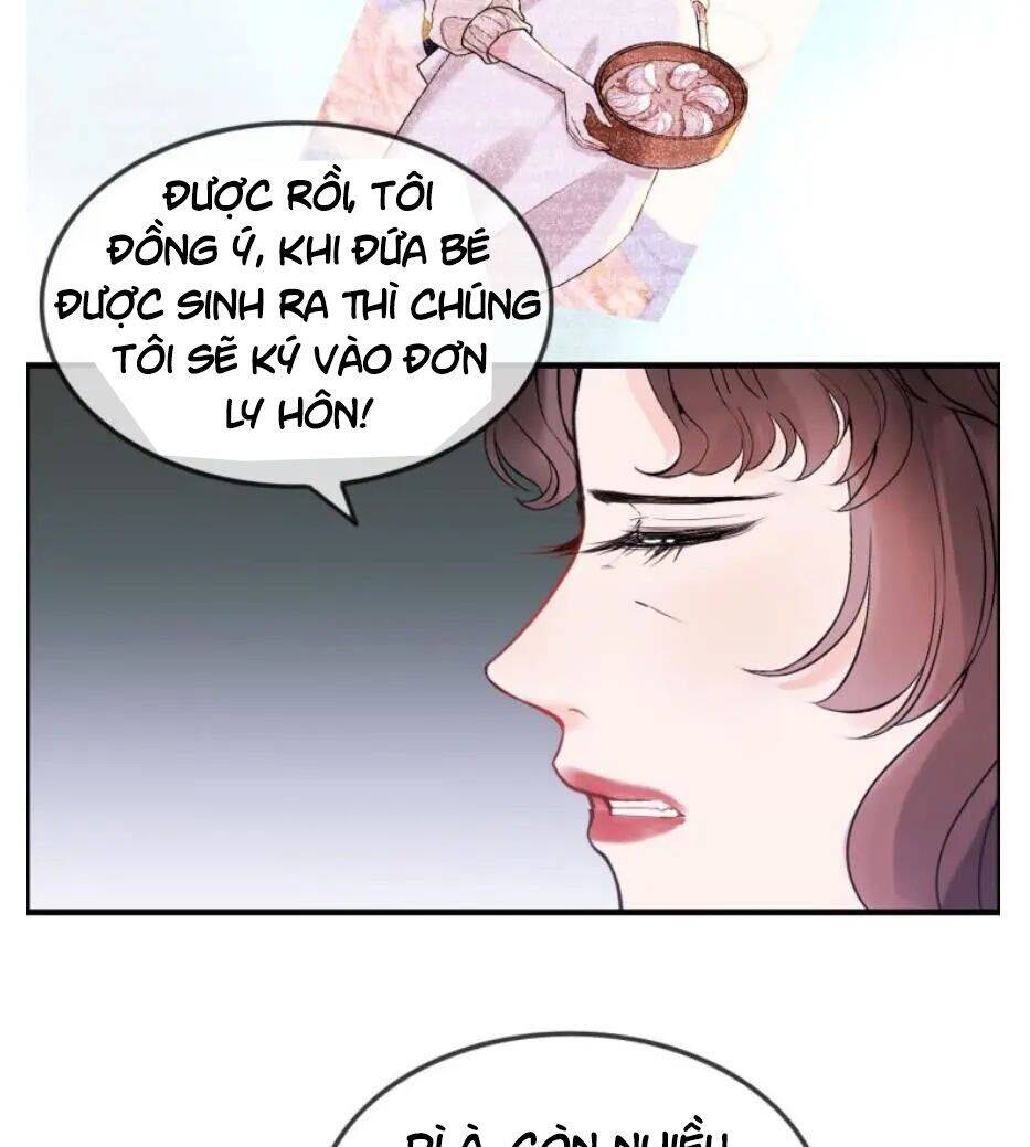 Cô Vợ Hợp Đồng Bỏ Trốn Của Tổng Giám Đốc Chapter 301 - 68