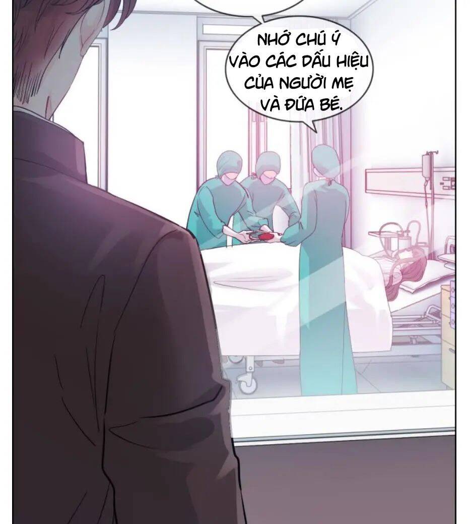 Cô Vợ Hợp Đồng Bỏ Trốn Của Tổng Giám Đốc Chapter 301 - 8