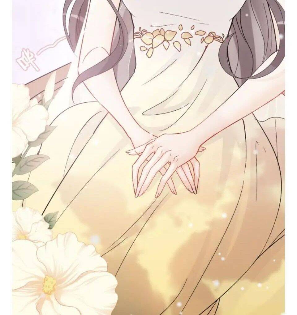 Cô Vợ Hợp Đồng Bỏ Trốn Của Tổng Giám Đốc Chapter 302 - 11