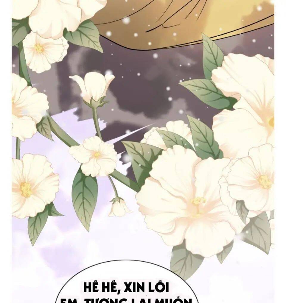 Cô Vợ Hợp Đồng Bỏ Trốn Của Tổng Giám Đốc Chapter 302 - 12