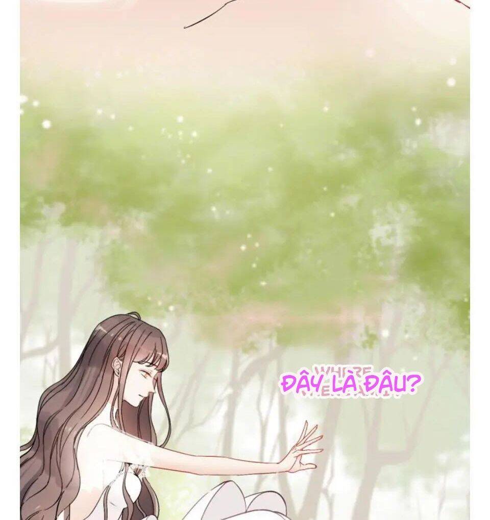 Cô Vợ Hợp Đồng Bỏ Trốn Của Tổng Giám Đốc Chapter 302 - 3