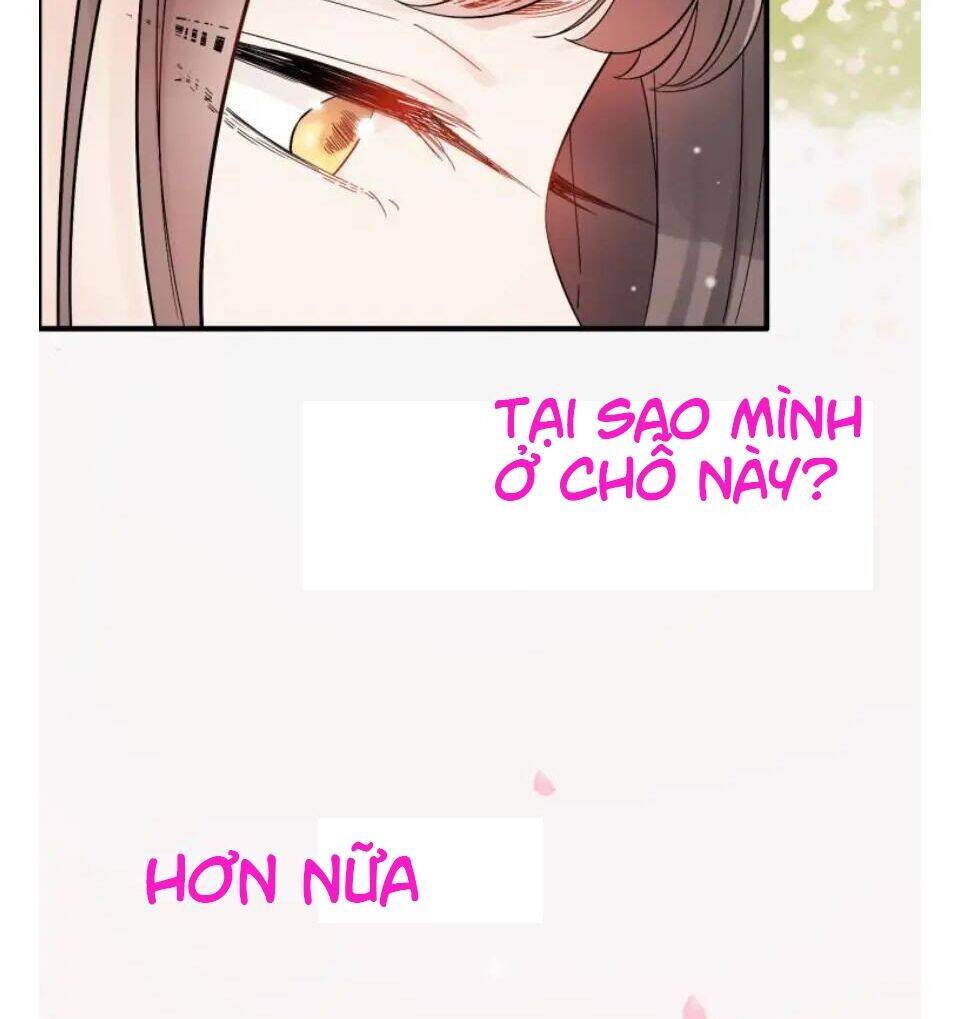 Cô Vợ Hợp Đồng Bỏ Trốn Của Tổng Giám Đốc Chapter 302 - 5