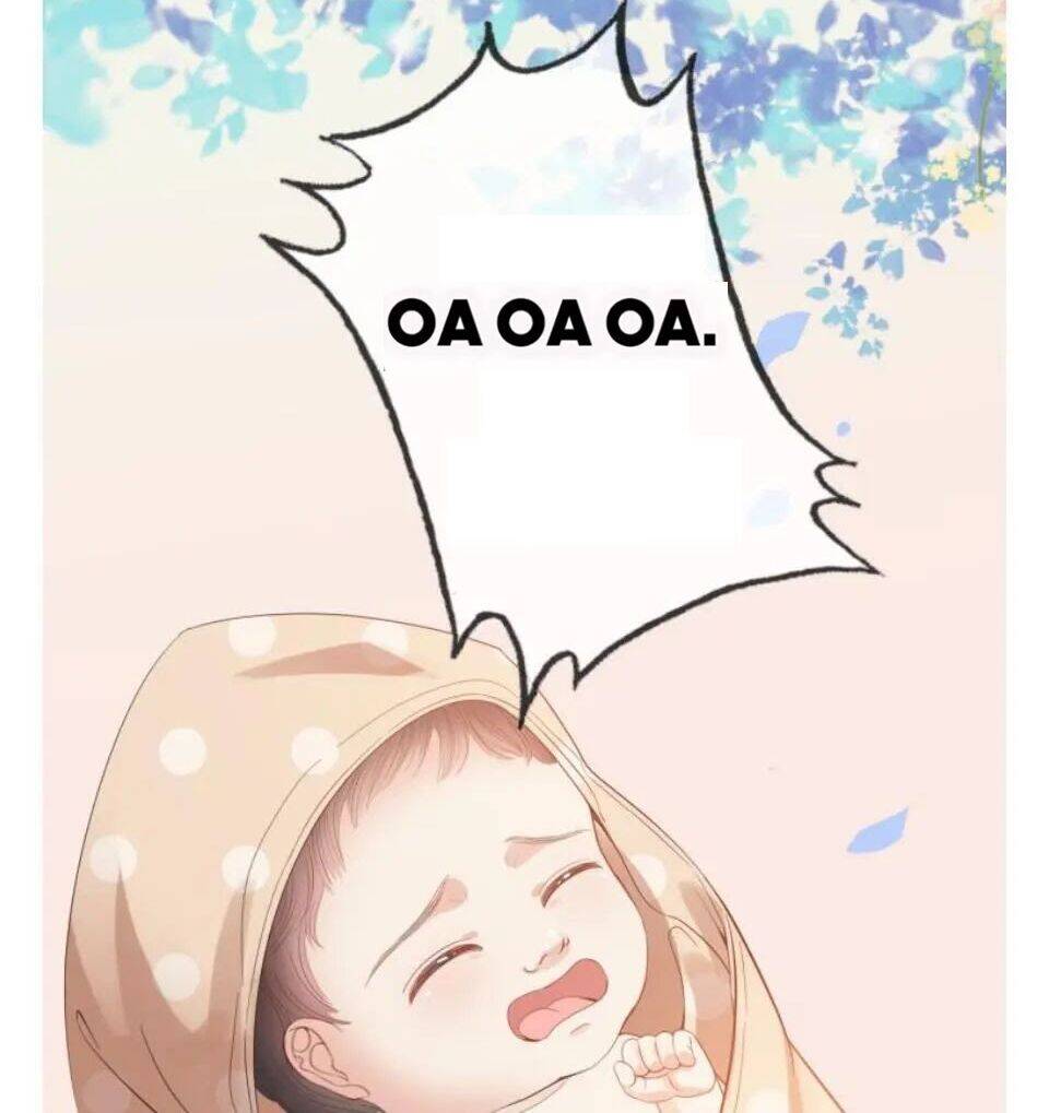 Cô Vợ Hợp Đồng Bỏ Trốn Của Tổng Giám Đốc Chapter 302 - 43