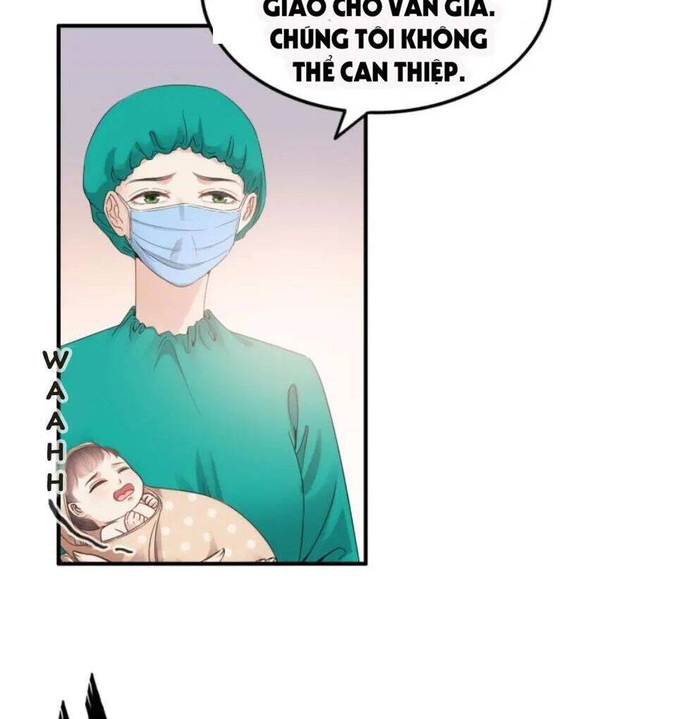 Cô Vợ Hợp Đồng Bỏ Trốn Của Tổng Giám Đốc Chapter 302 - 51