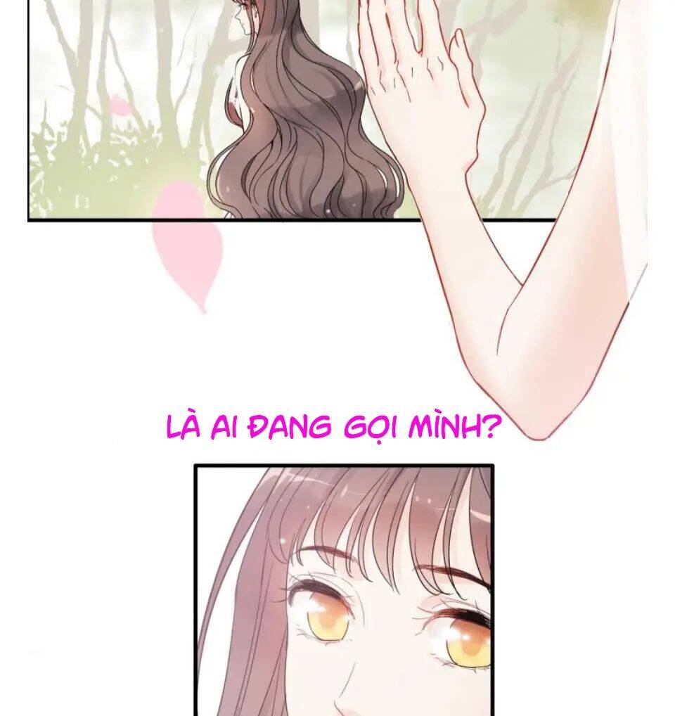 Cô Vợ Hợp Đồng Bỏ Trốn Của Tổng Giám Đốc Chapter 302 - 8