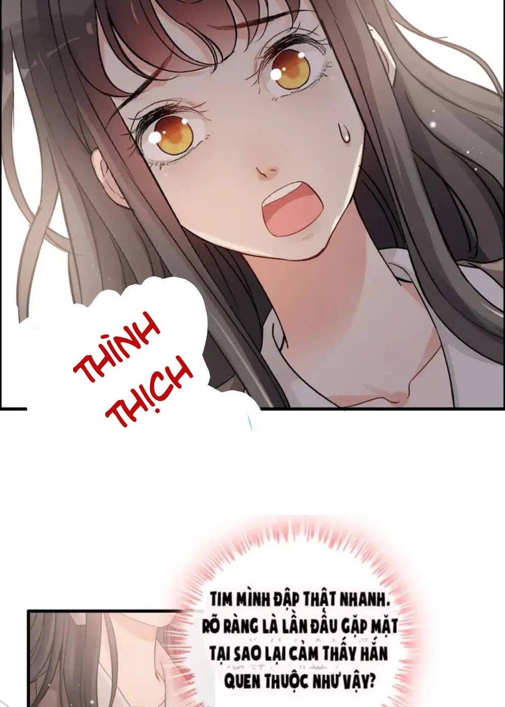Cô Vợ Hợp Đồng Bỏ Trốn Của Tổng Giám Đốc Chapter 306.5 - 14