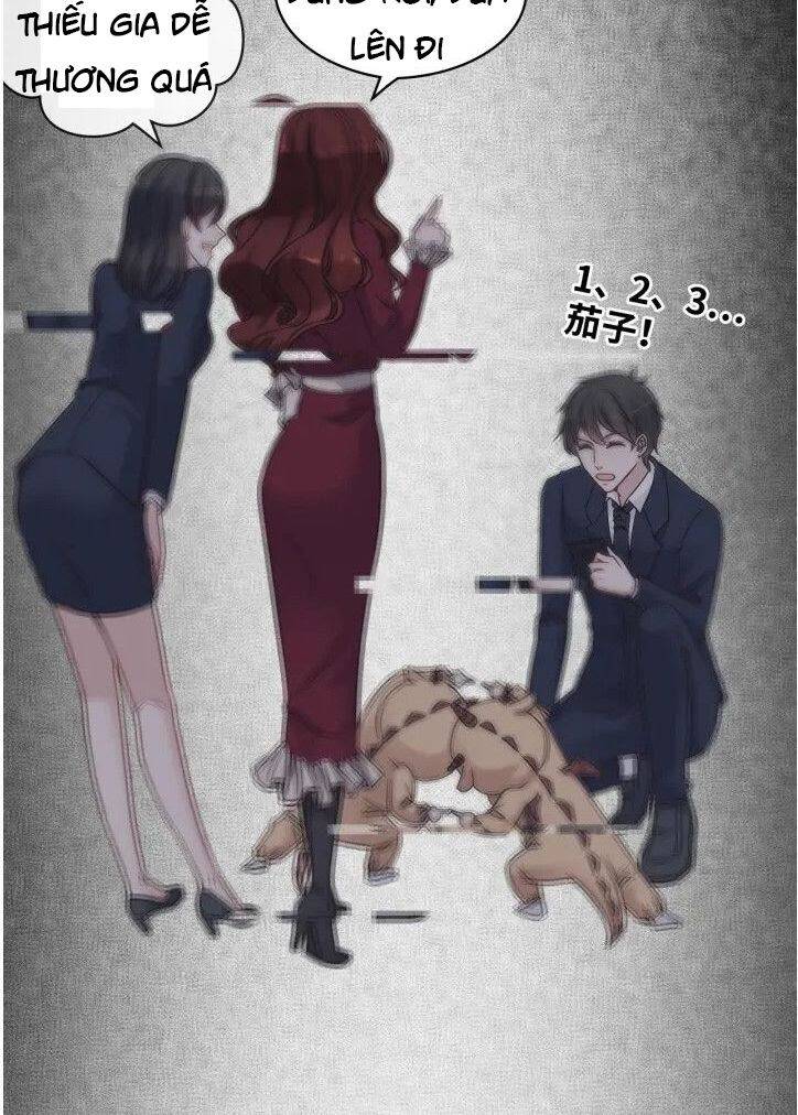 Cô Vợ Hợp Đồng Bỏ Trốn Của Tổng Giám Đốc Chapter 326.1 - 20