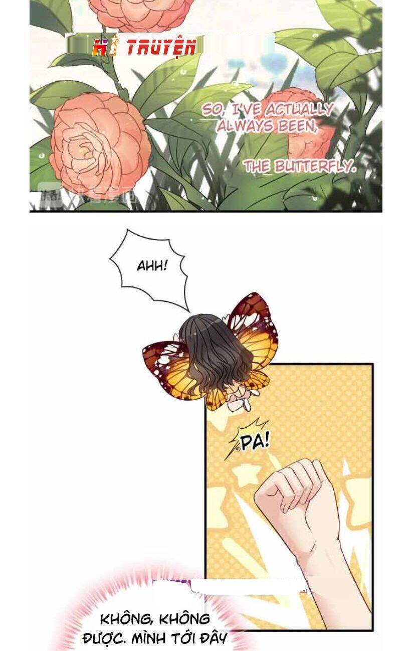 Cô Vợ Hợp Đồng Bỏ Trốn Của Tổng Giám Đốc Chapter 330.1 - 17