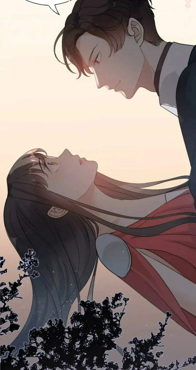 Cô Vợ Hợp Đồng Bỏ Trốn Của Tổng Giám Đốc Chapter 365 - 17