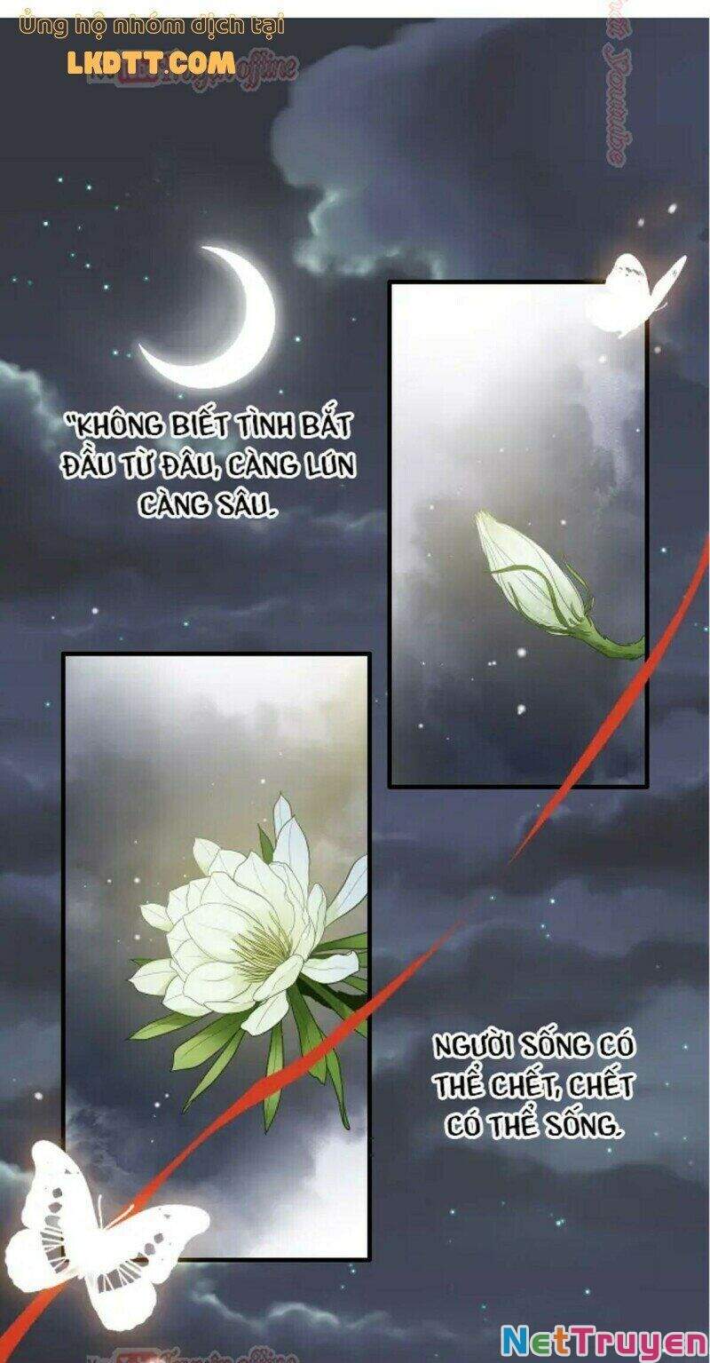 Cô Vợ Hợp Đồng Bỏ Trốn Của Tổng Giám Đốc Chapter 366 - 54