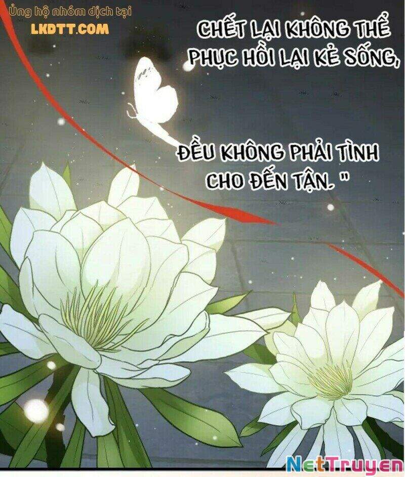 Cô Vợ Hợp Đồng Bỏ Trốn Của Tổng Giám Đốc Chapter 366 - 56