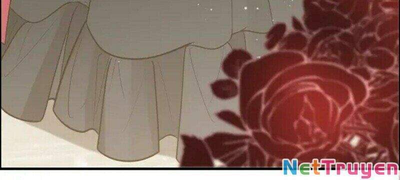 Cô Vợ Hợp Đồng Bỏ Trốn Của Tổng Giám Đốc Chapter 367 - 23