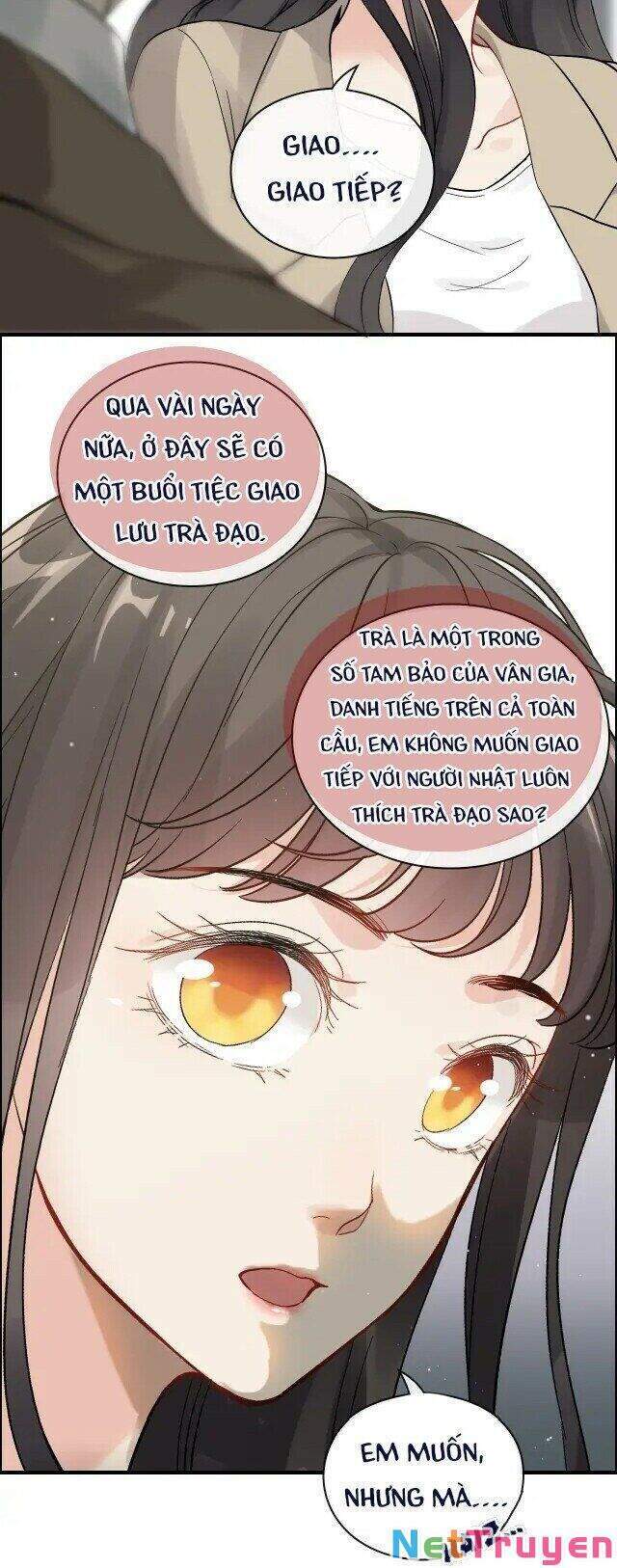 Cô Vợ Hợp Đồng Bỏ Trốn Của Tổng Giám Đốc Chapter 369 - 15