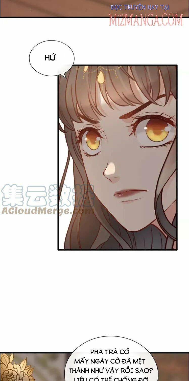 Cô Vợ Hợp Đồng Bỏ Trốn Của Tổng Giám Đốc Chapter 386 - 7