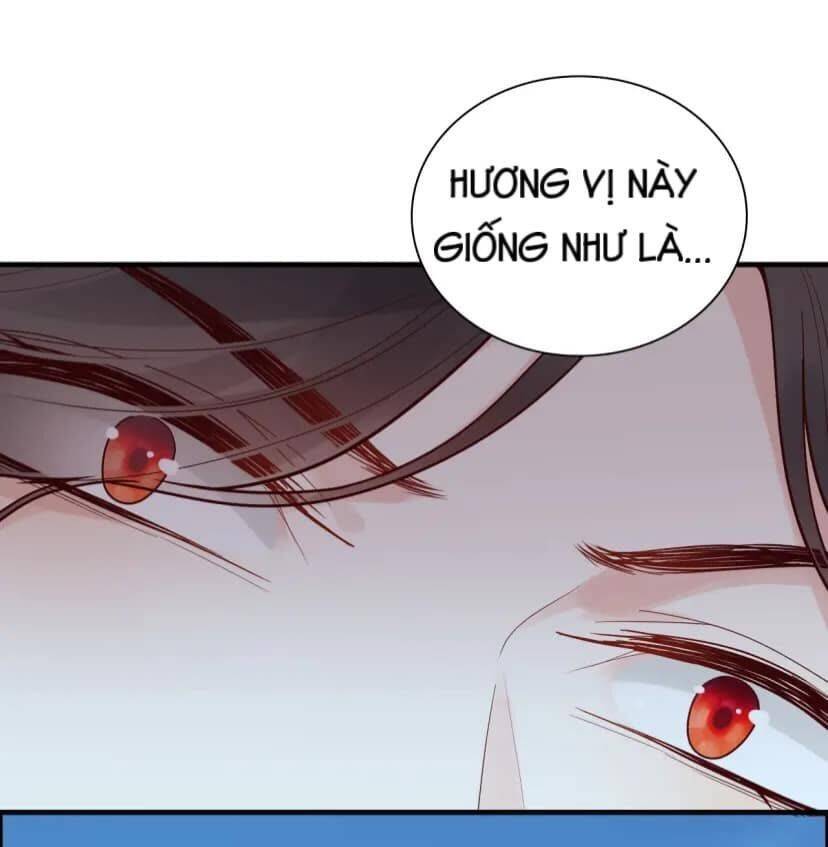 Cô Vợ Hợp Đồng Bỏ Trốn Của Tổng Giám Đốc Chapter 389.5 - 12